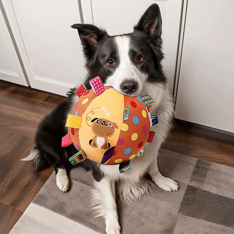 56c327f8-e022-49fa-8c30-fc35c2401738.jpe