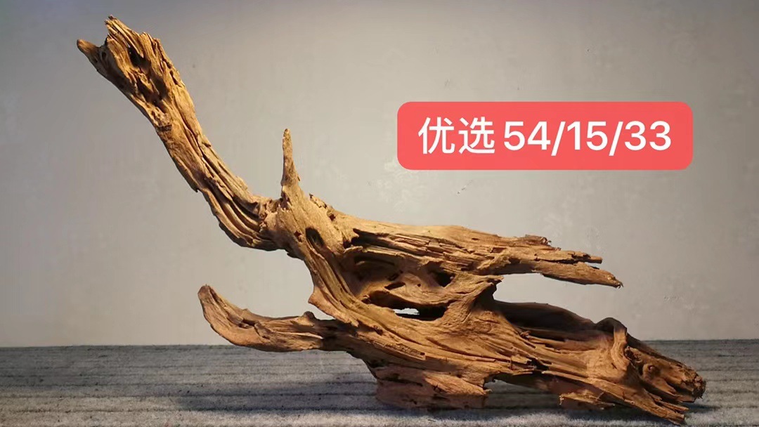 微信图片_20220617173609