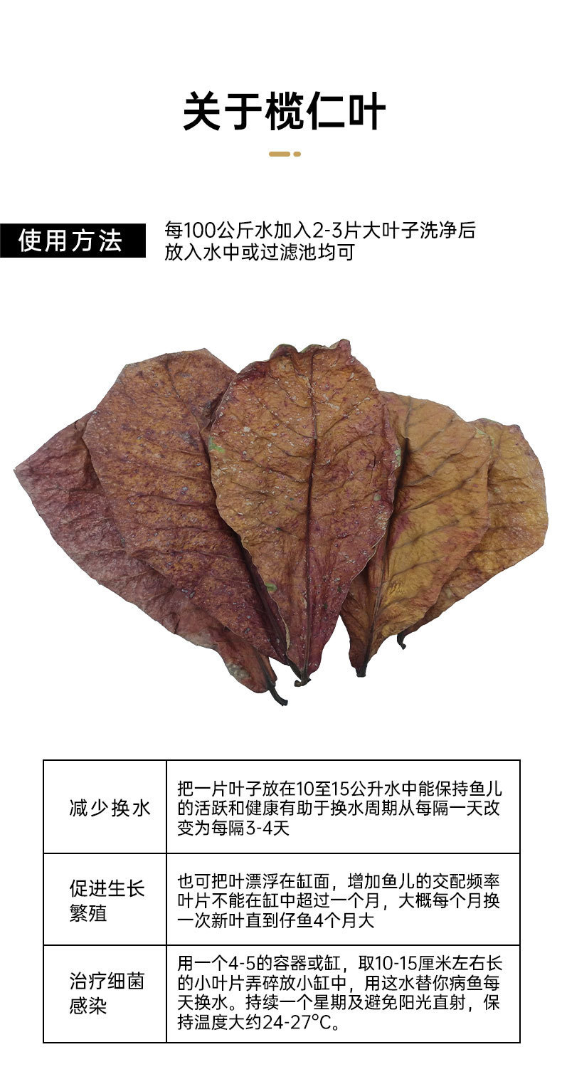 详情_06.jpg