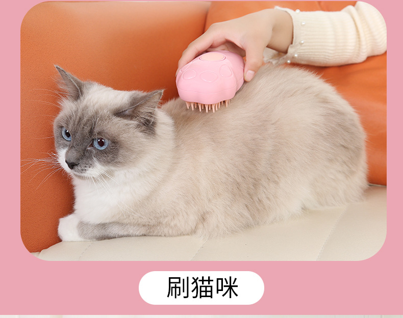 毛刷_05.jpg?x-oss-process=image/format,png