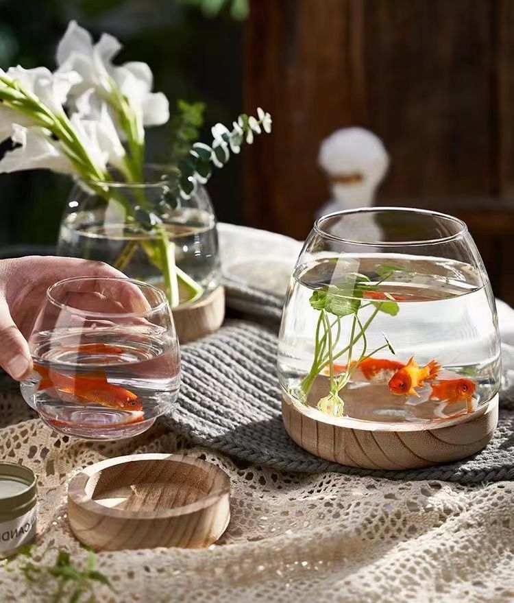 2b7234c2-63d6-4fc3-92b0-5dce09e68c4a.jpe