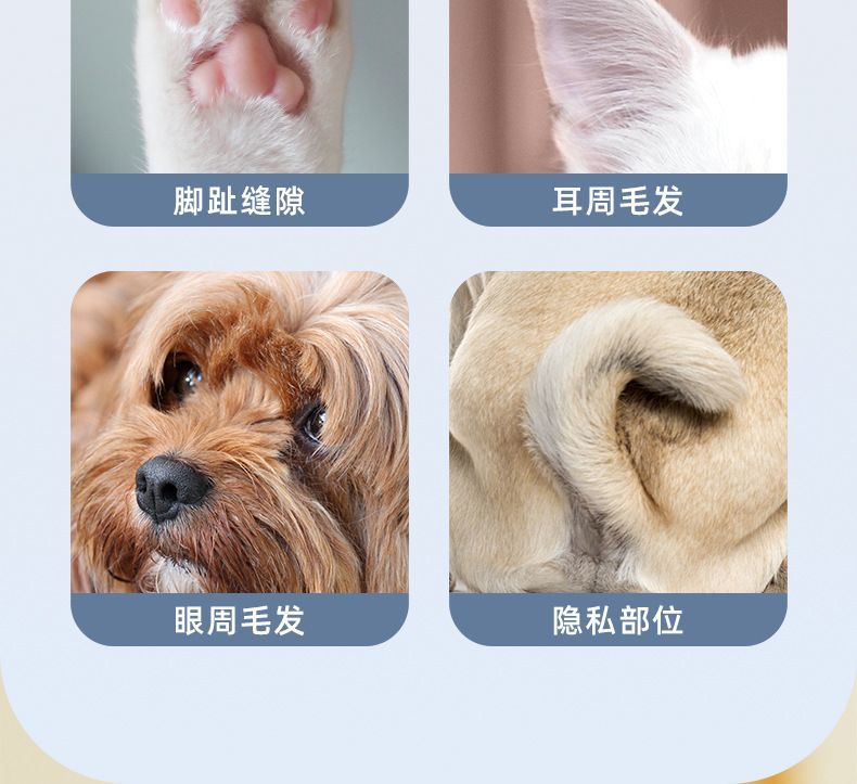 4e27479e-b07c-49a3-89eb-5883a7d4c997.jpe