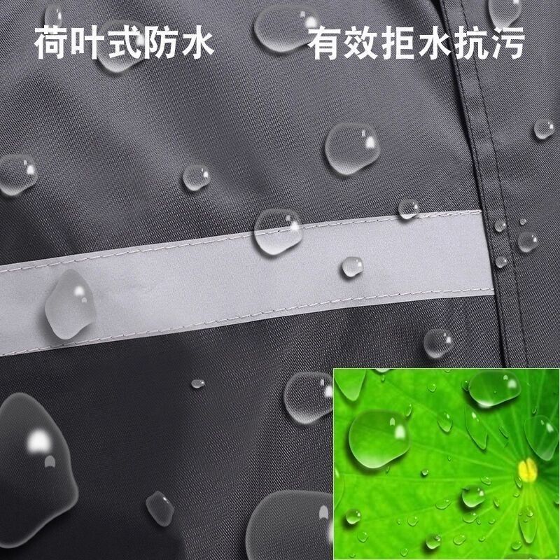 9451996d-0d1e-4a7c-9e38-0f468796a1c3.jpe