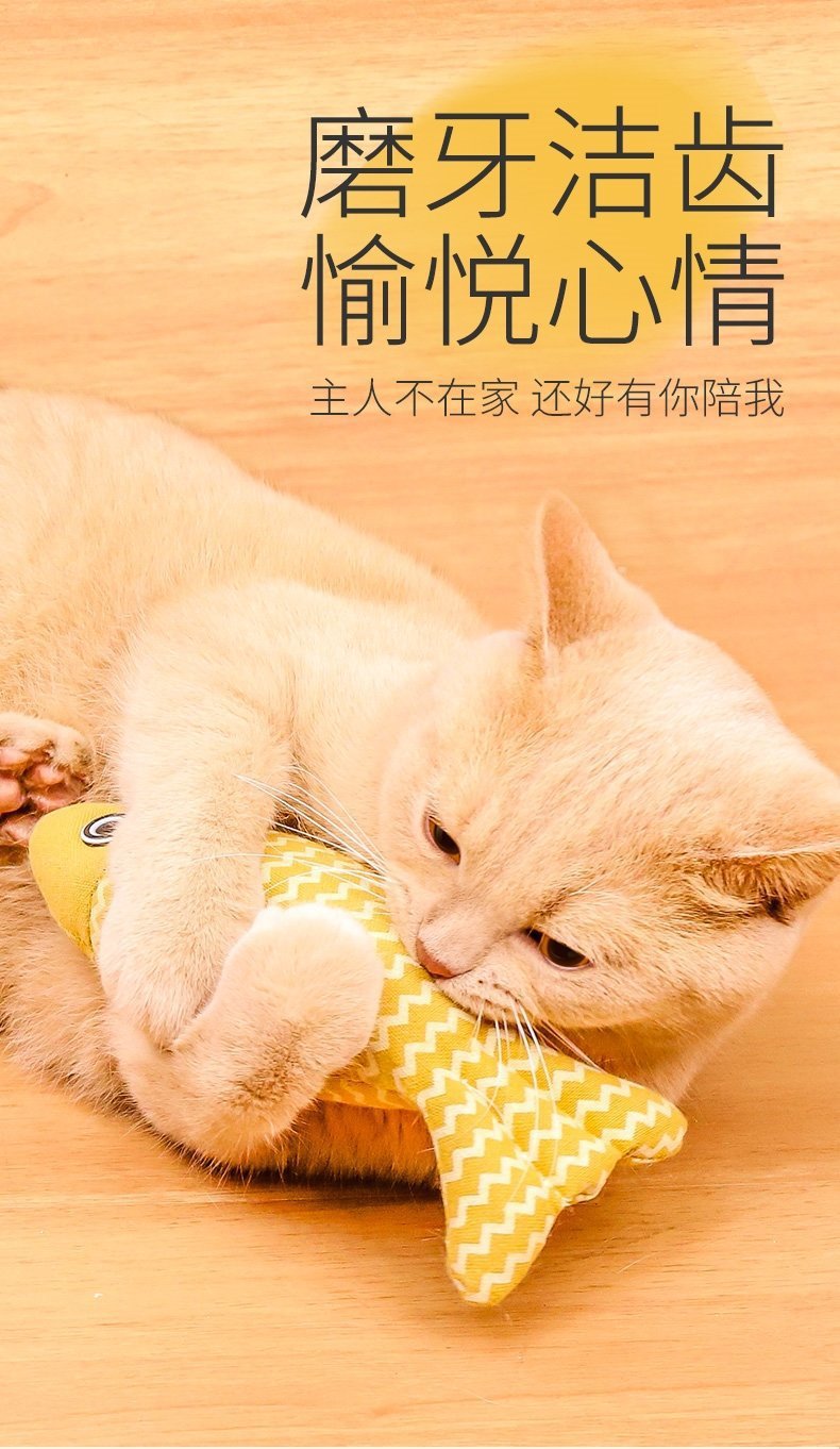 2c387be7-1f7a-45b5-b3b8-1c920f85bc48.jpe