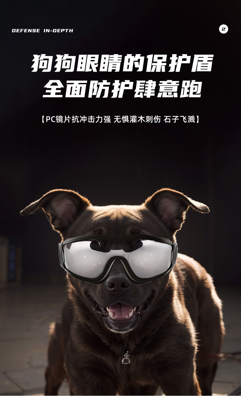 b1a81cd6-29c6-4b2e-af40-777ab0d3ffcd.jpe