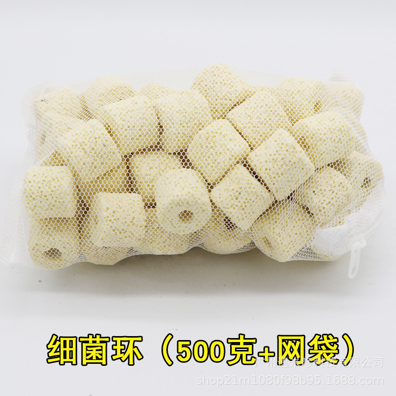 细菌环.jpg