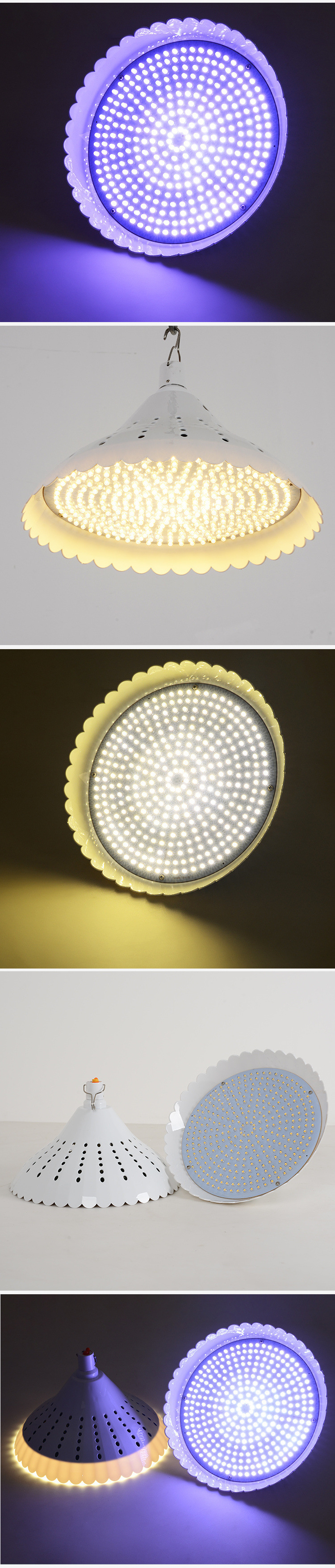 81b31608-60e0-417f-8606-053c8c5d0c5d.jpe