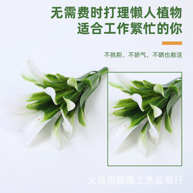 O1CN01QOvSar1QEP5AbFQfO_!!2220