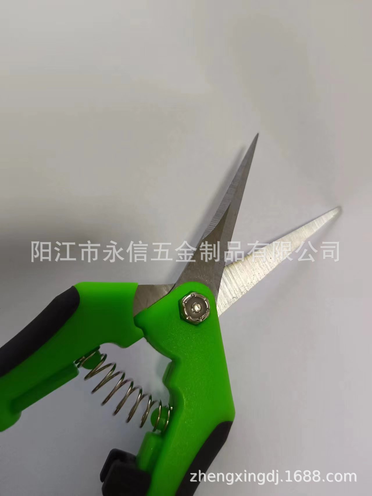 微信图片_20230419185451