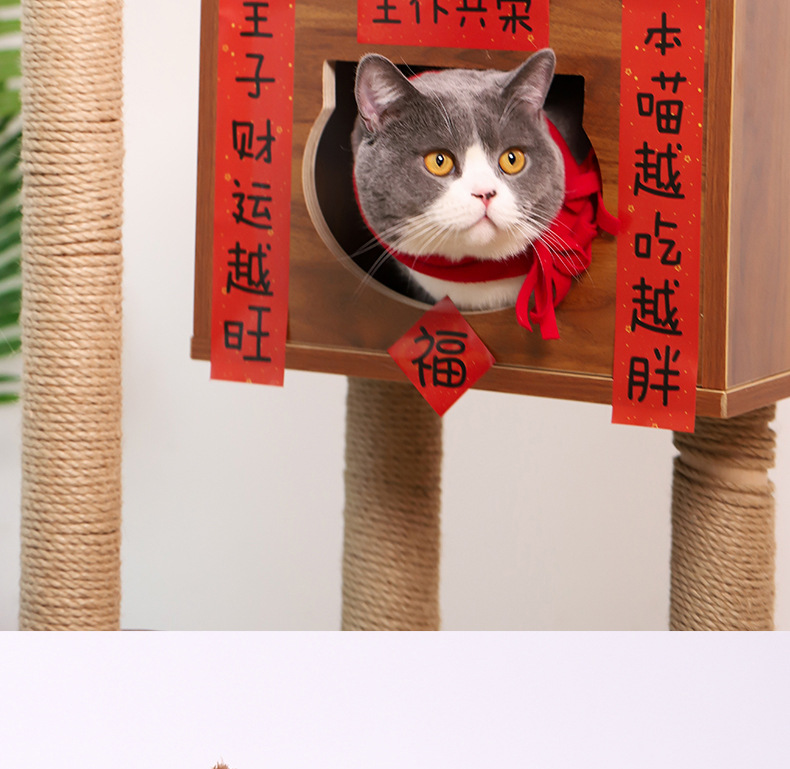 宠物小对联_08.jpg