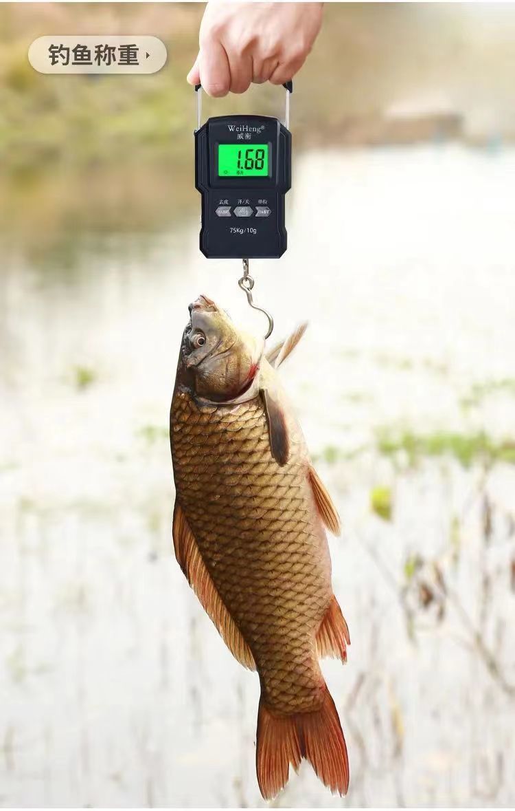 68baa061-9002-440d-893e-9a4c359a5bbb.jpe