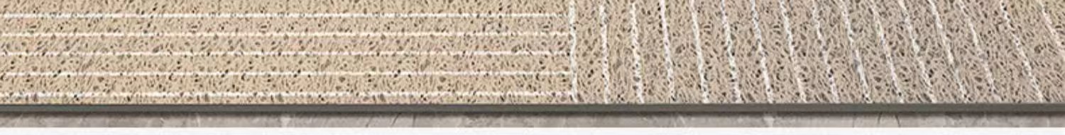 地垫地毯,丝圈地垫,日式地垫,入户门垫,可剪裁,蹭土蹭泥