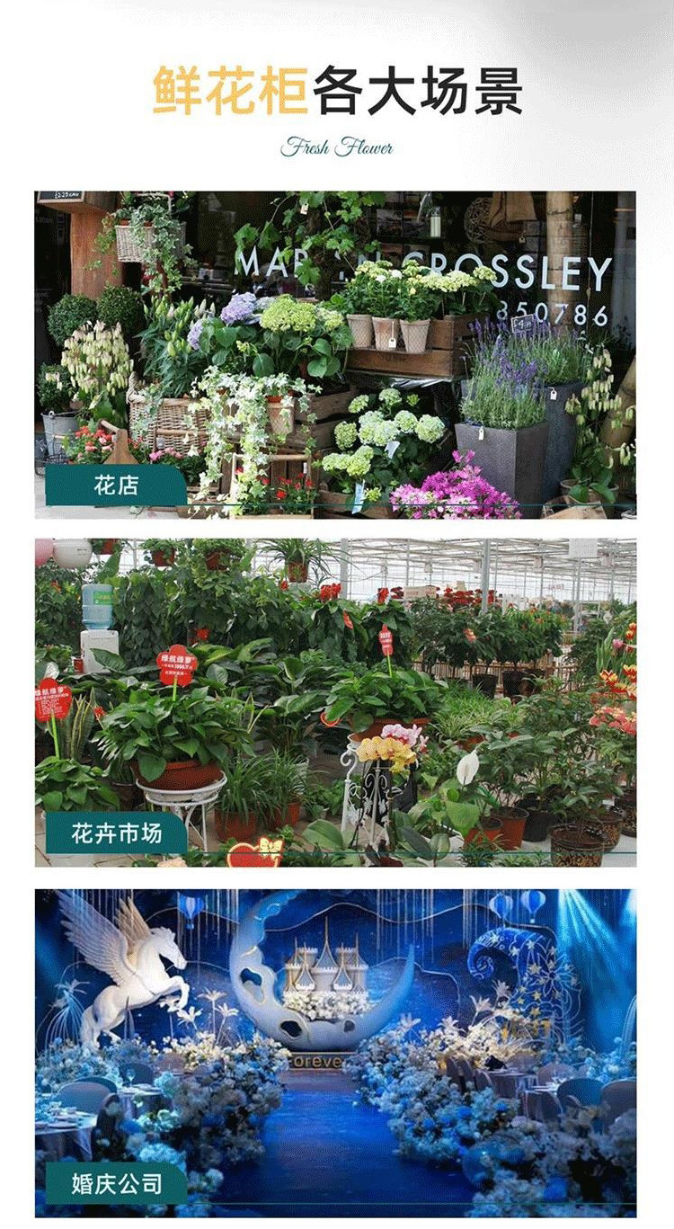 鲜花保鲜柜 (13).jpg
