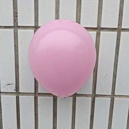 2024-11-15 12:53:13.jpg