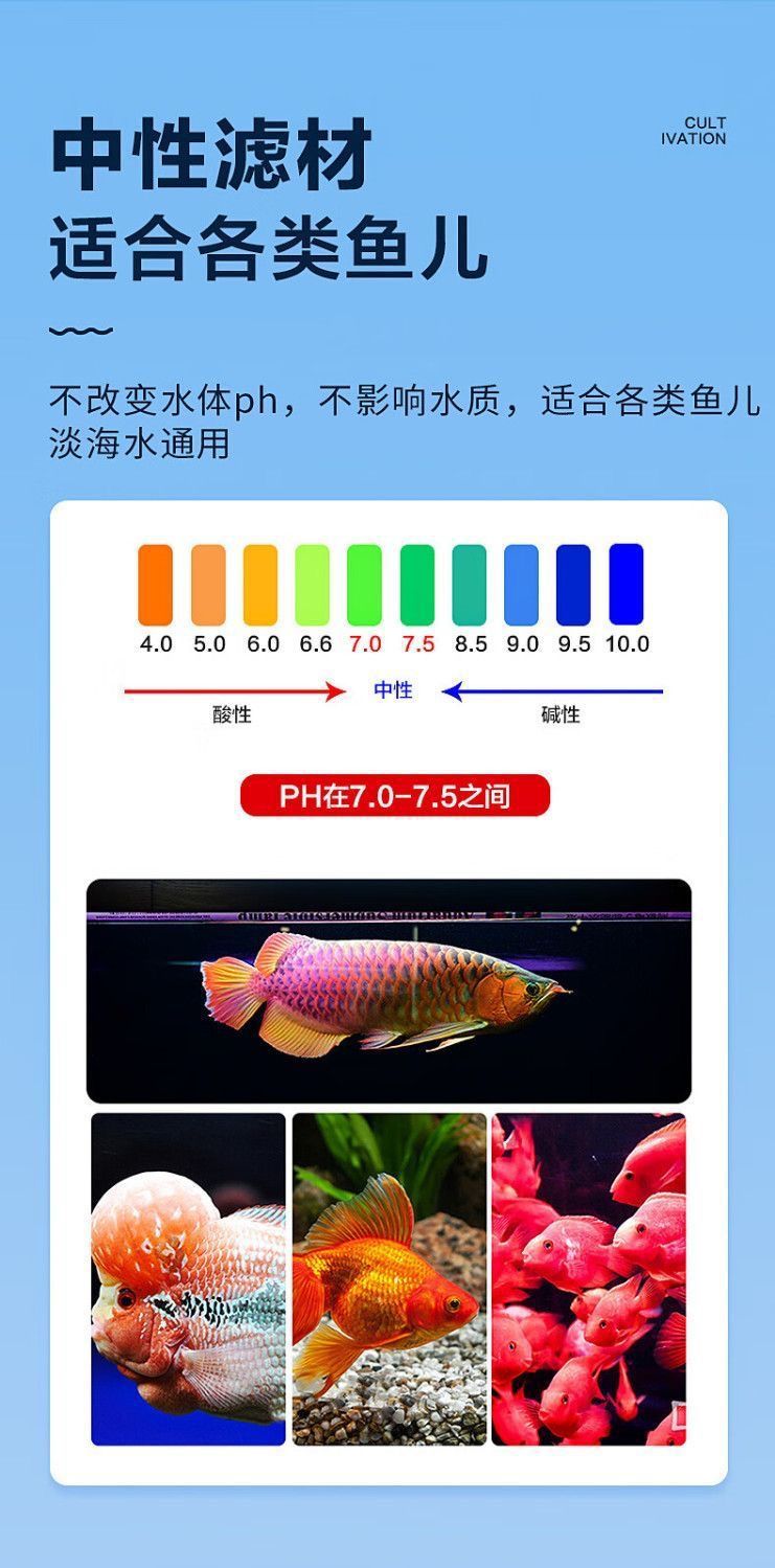 7e5fb621-a607-4b9f-8ba2-d03d8b711d44.jpe