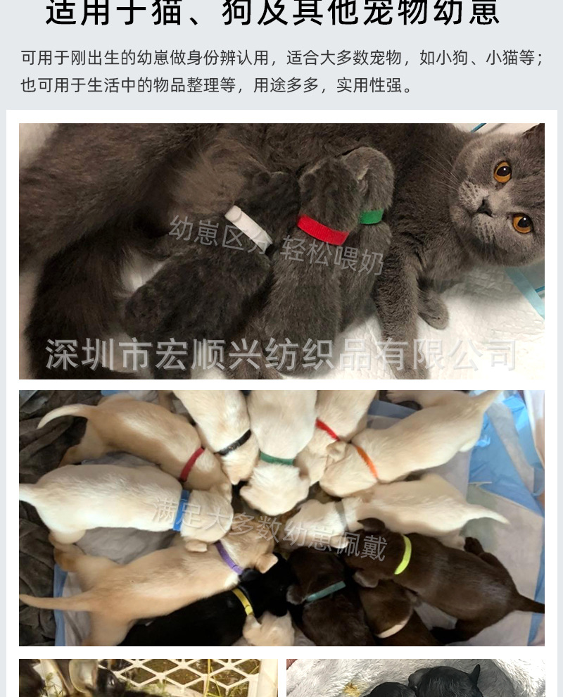 10色宠物圈详情_06.jpg