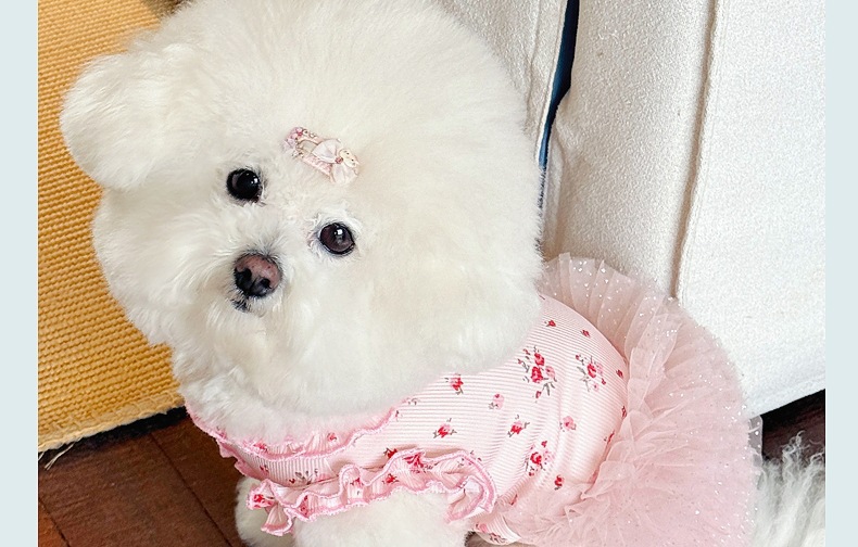 1008.jpg?x-oss-process=image/format,png