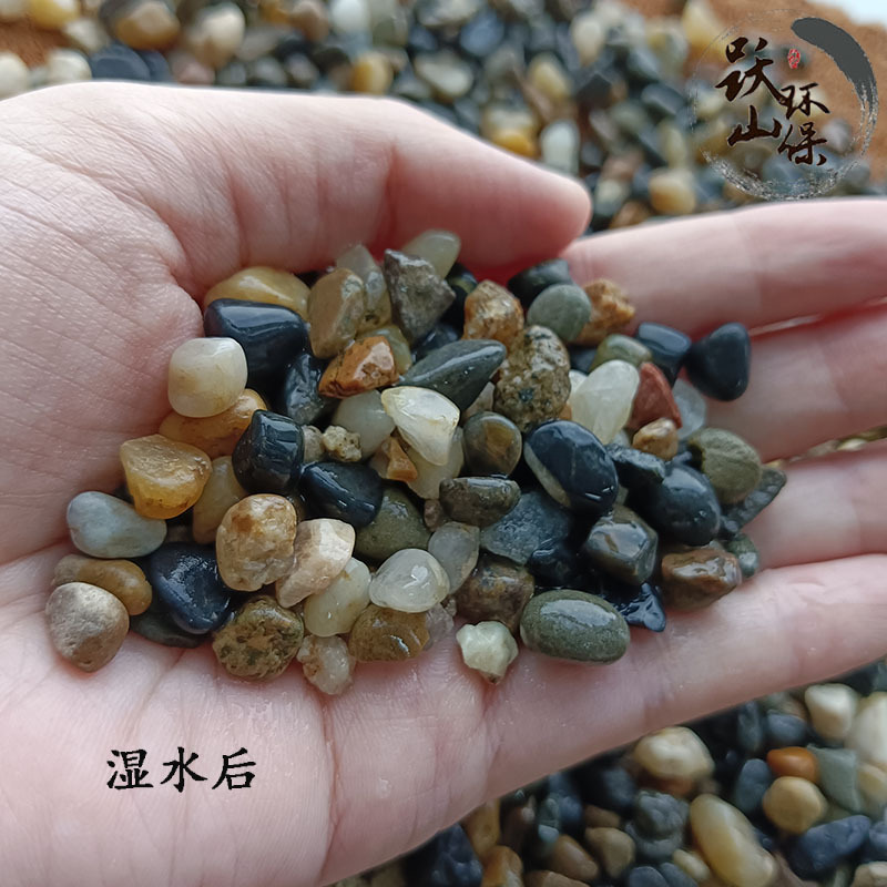 湿水后.jpg