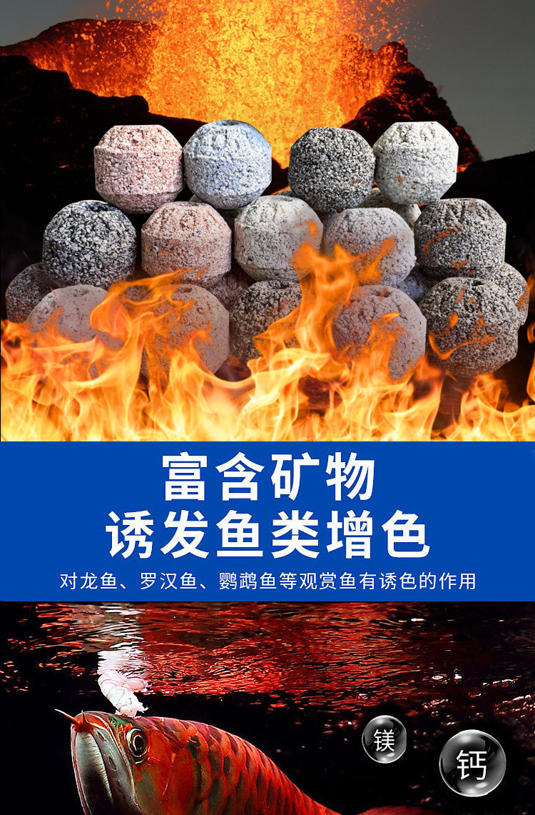 97129504-582c-460a-b6e5-e39a8b832aed.jpe