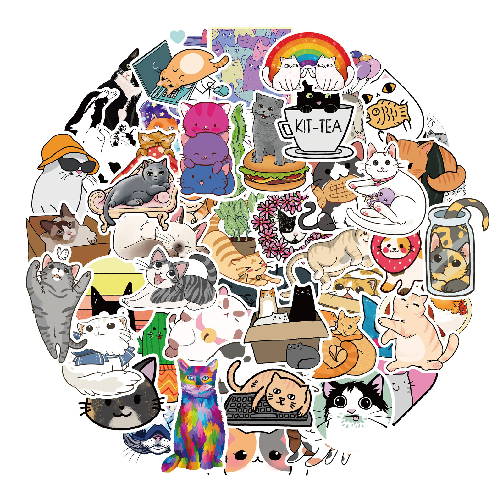 小猫咪51张主图文件2-01_副本