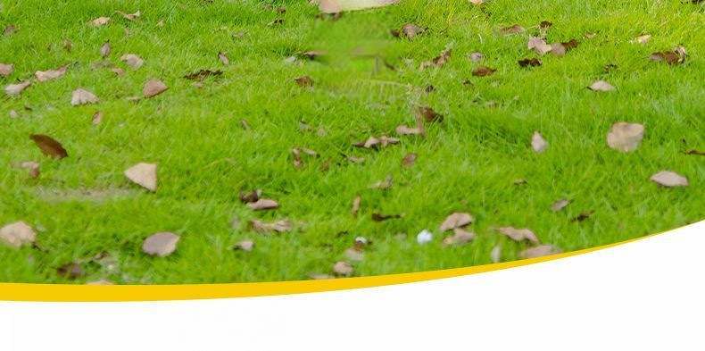 37cd38ee-0dc7-4a06-a38a-d5d820899ee0.jpe