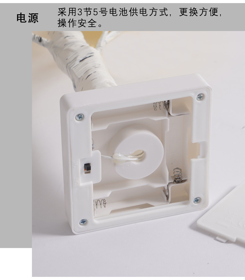 绿叶玫瑰花_13.jpg