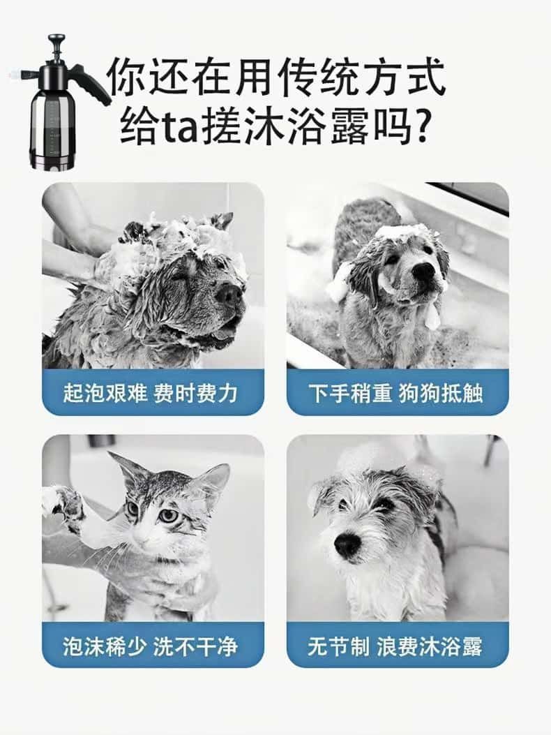 c21b9b07-e9c9-4b54-9685-b1af67428a91.jpe