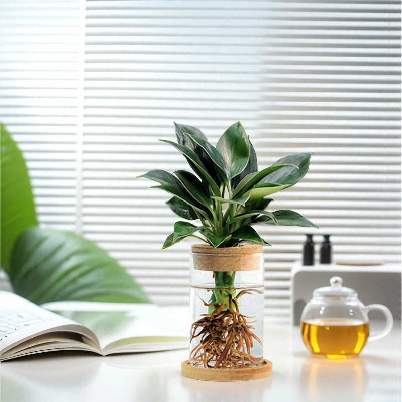 dca9a631-11c7-4e30-af36-bf5371ea9e2e.jpe