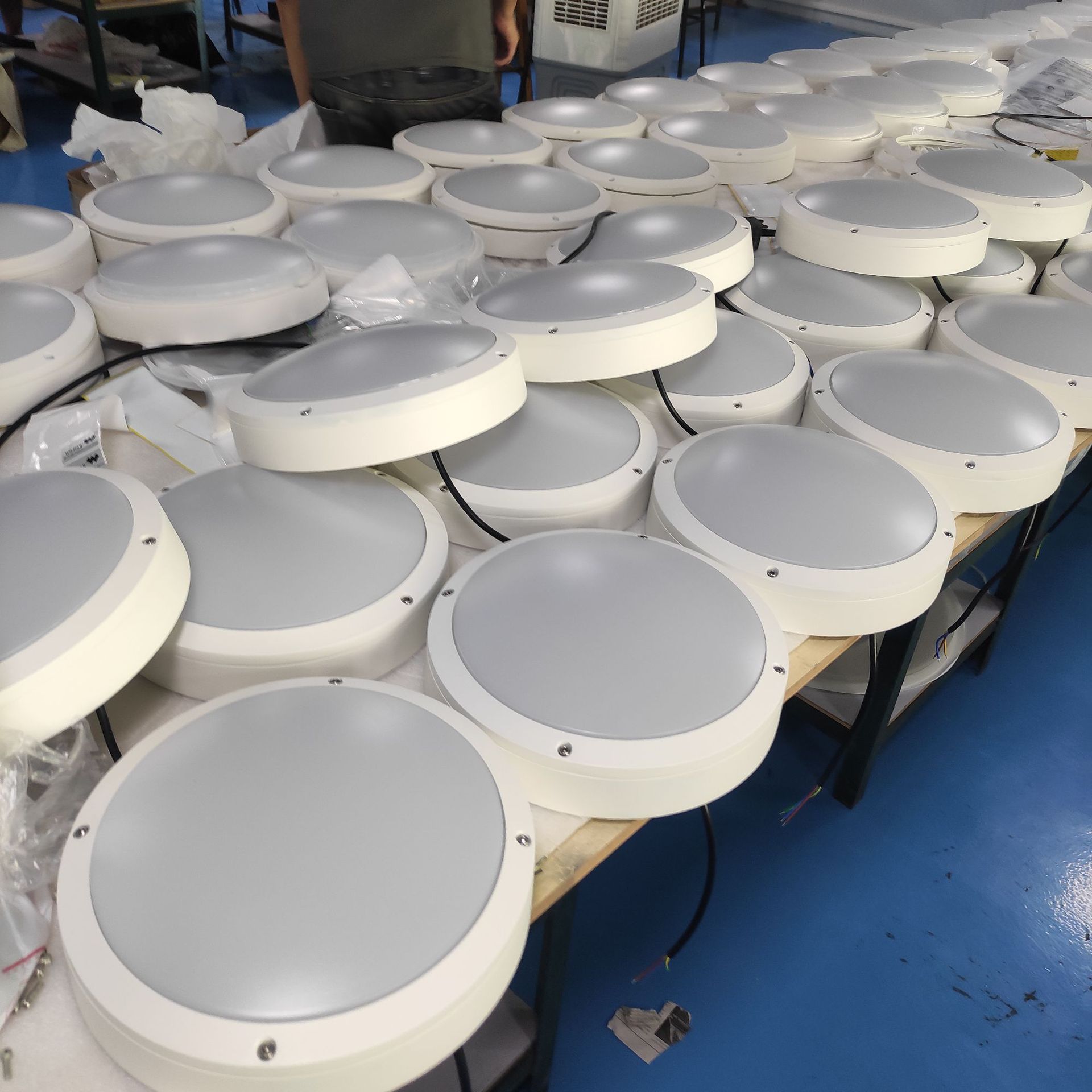 微信图片_20241223132135