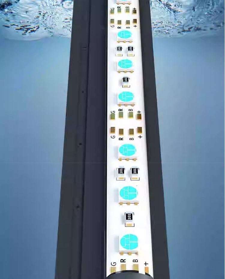 8b7cf9c0-74a1-4325-be97-094cf0ade352.jpe