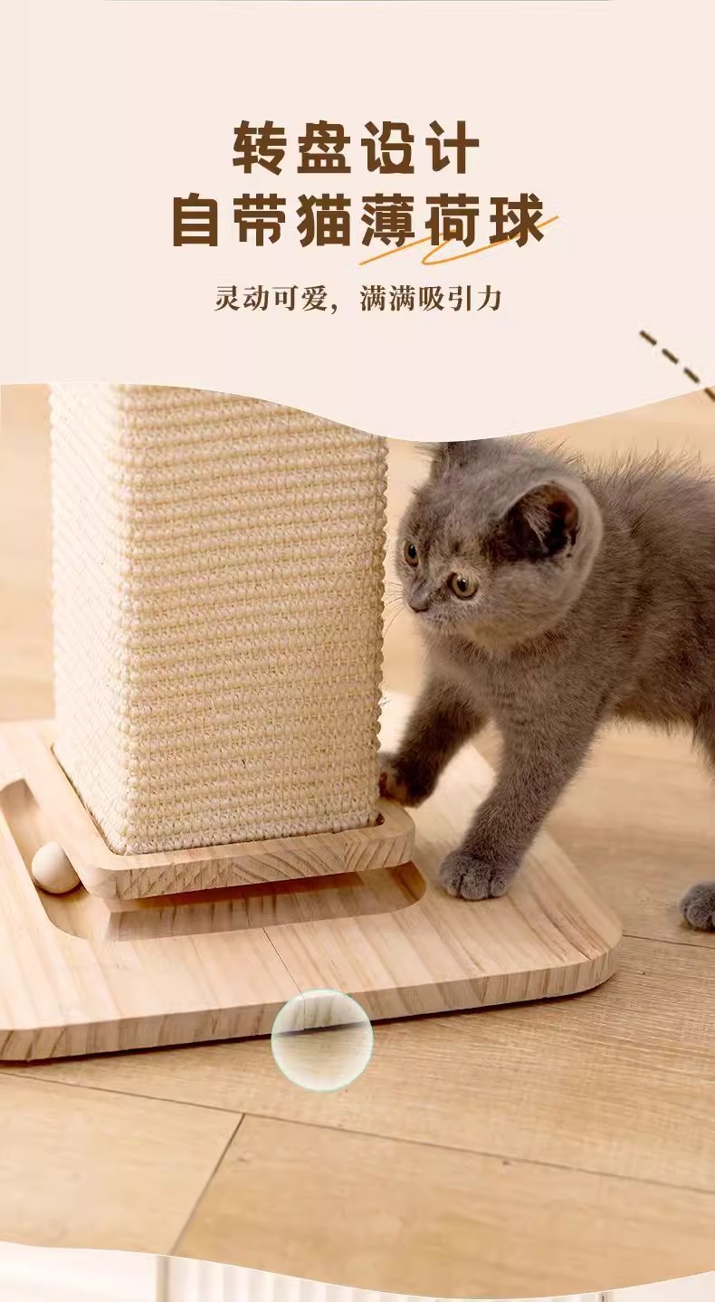 98e1f28f-648d-4bc5-83d7-fe3fd68f2ea1.jpe