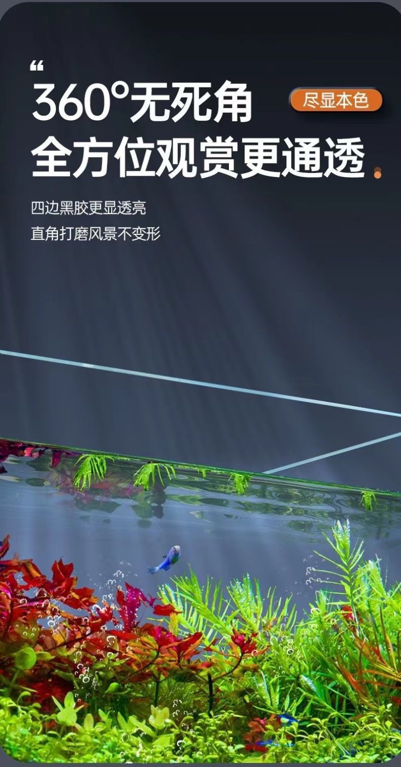 c4c8db6e-b1bf-43a1-8091-a18d5ef1d9be.jpe