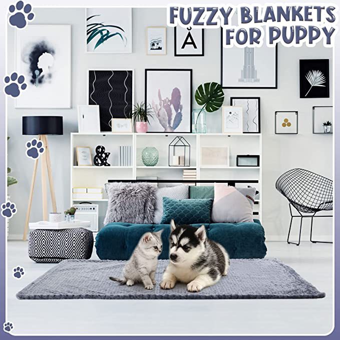 81EOkQ843EL._AC_SX679._SX._UX.