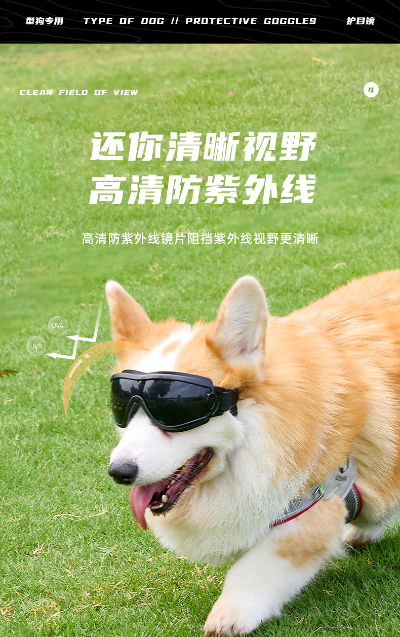 e5b58e9b-8a43-4ce4-b9f7-52bb2cc4703a.jpe