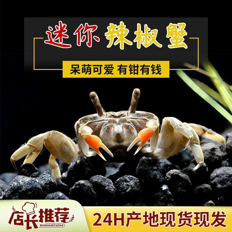 c1822a1d-82ac-490c-a109-78c9d7261ceb.jpe