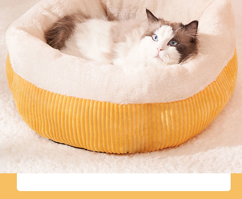 090a514f-8d67-49b8-874d-c7dbc9f62b0a.jpe