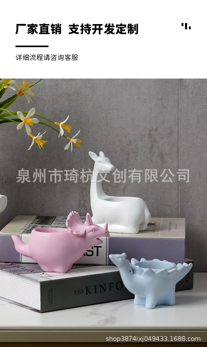 恐龙多肉_02.jpg