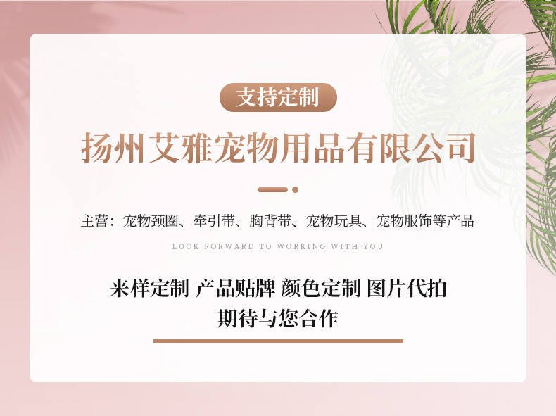 详情_02