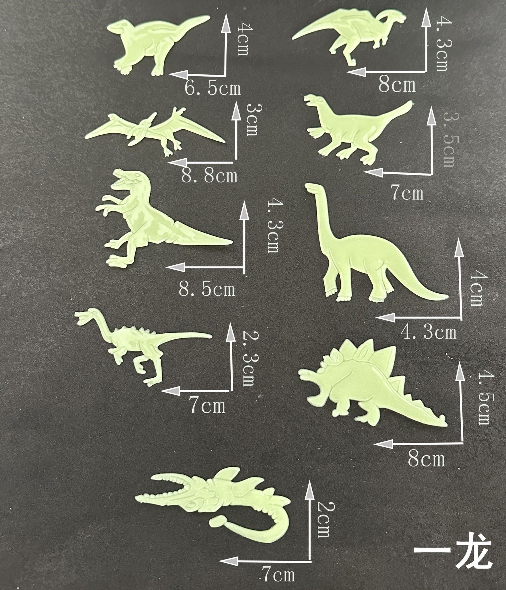 1龙尺寸