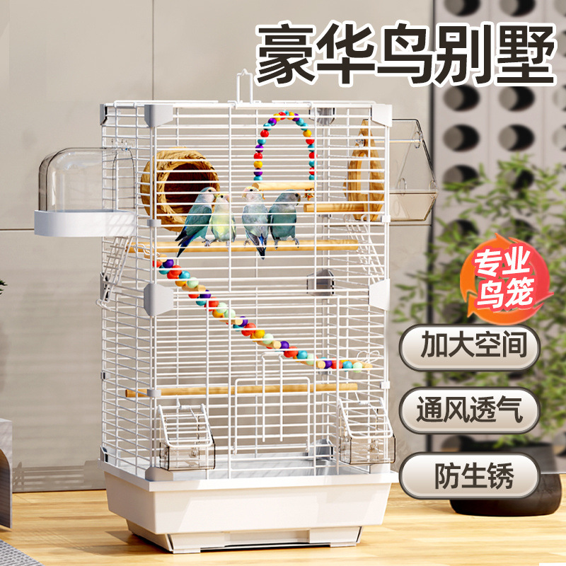 f9bb519c-6411-425f-a97a-d7b12d884f4f.jpe