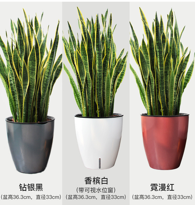 H013托盘-带文字_14.jpg