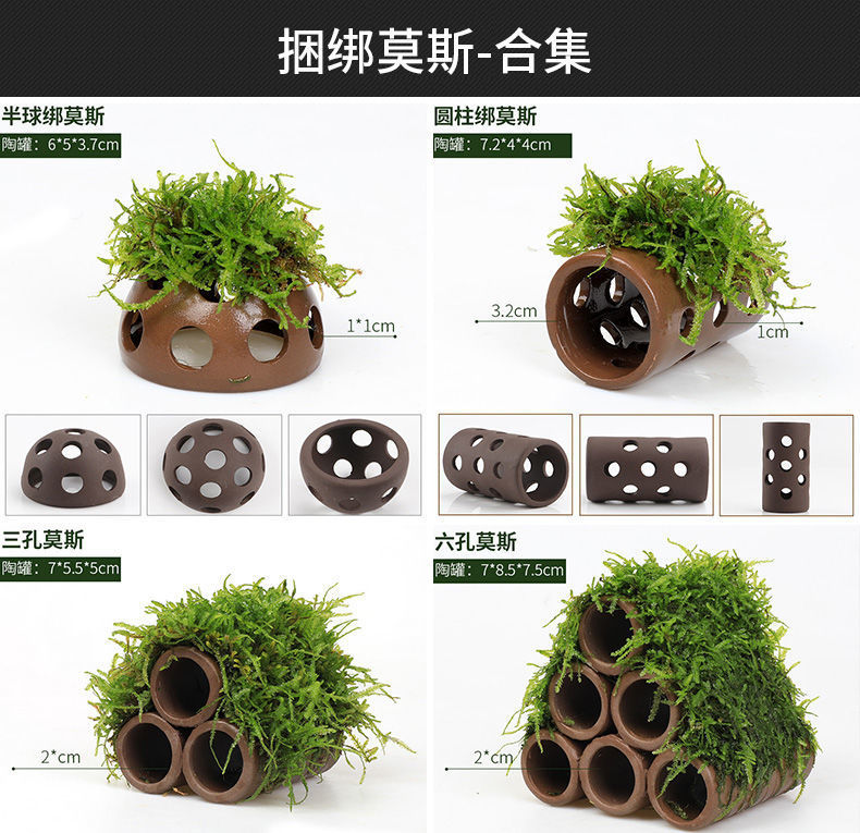 5917b840-856a-4c7b-bb07-9a05bf65a656.jpe