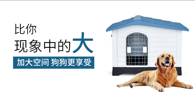 424狗窝_03.jpg