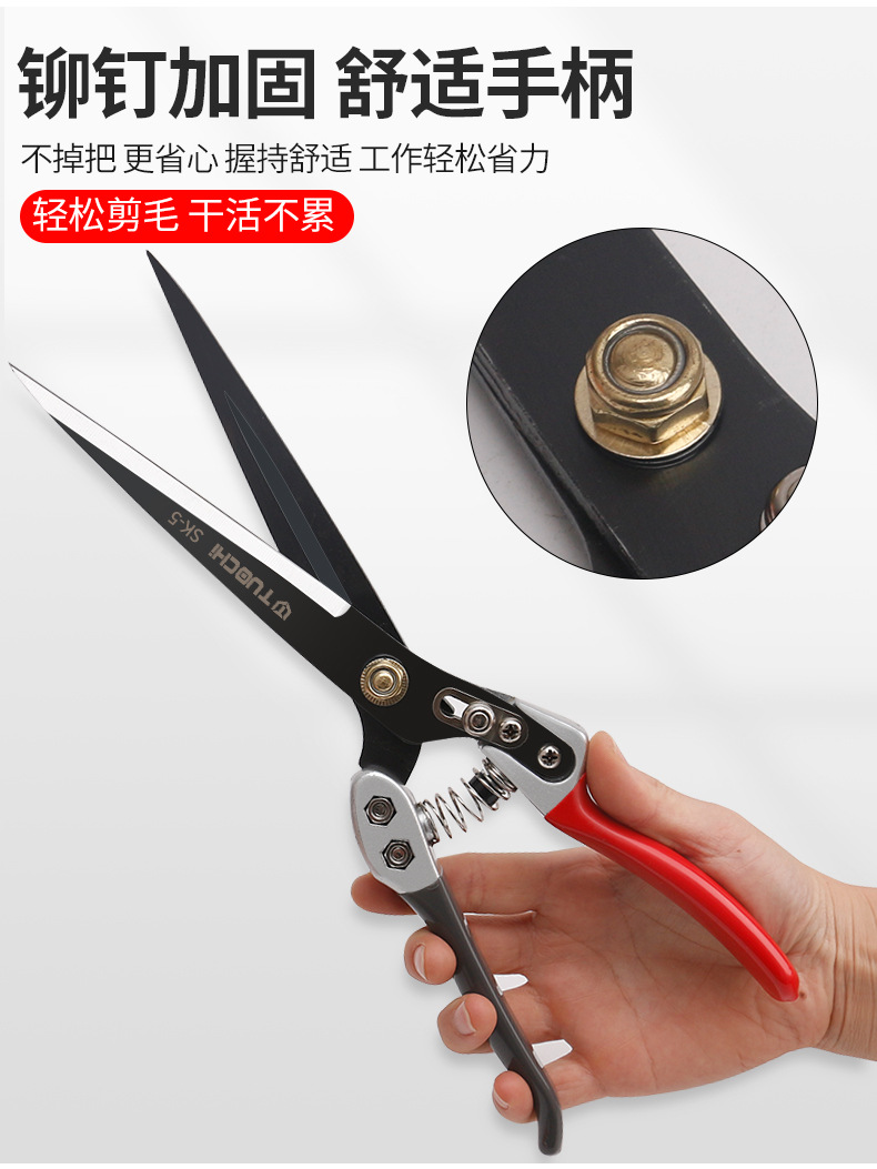 790详情_04.jpg
