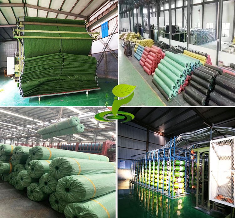 6c755f77-7c79-437b-ba33-8954ce5b9bc3.jpe