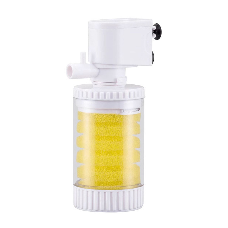 5e404d37-8e23-4acd-8eee-d920a4105670.jpe