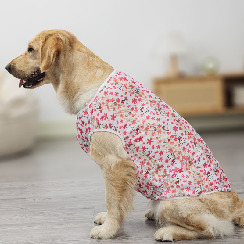 3cb63267-02ef-45f9-a95f-3eef564b1d8d.jpe