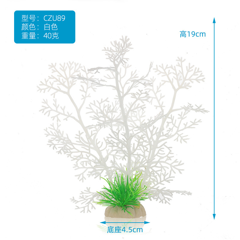 SKU图_CZU89白色.jpg