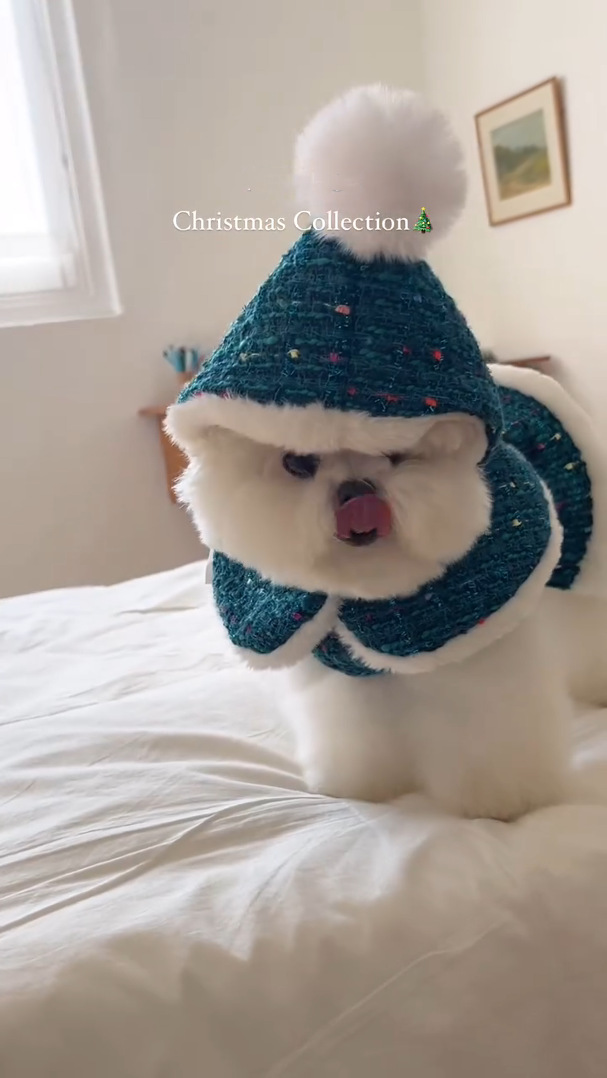 3781FEE1AA8FF14413A749FAF79EA1