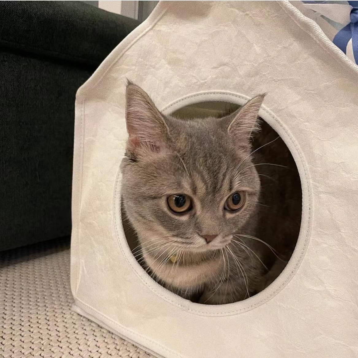 微信图片_20230725170208